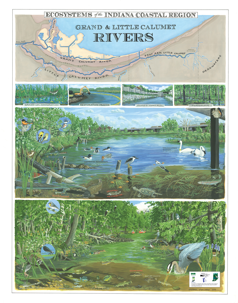 Image shows waterfowl along tree-lined rivers, with the words “Grand and Little Calumet Rivers” and “Ecosystems of the Indiana Coastal Region.”