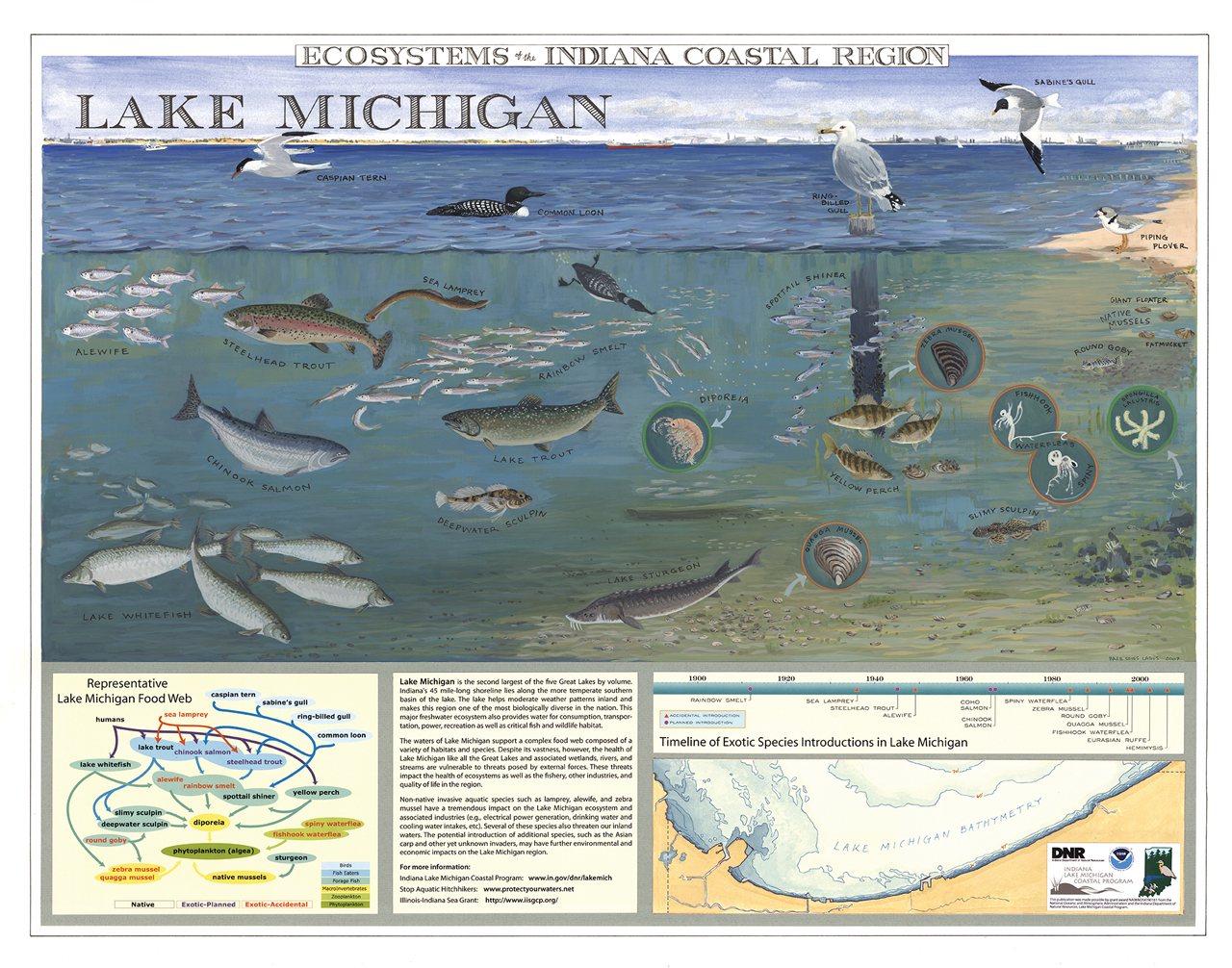Four illustrated panels show Lake Michigan aquatic species, food webs, and a species timeline for the lake, with the words, Lake Michigan” and “Ecosystems of the Indiana Coastal Region.”