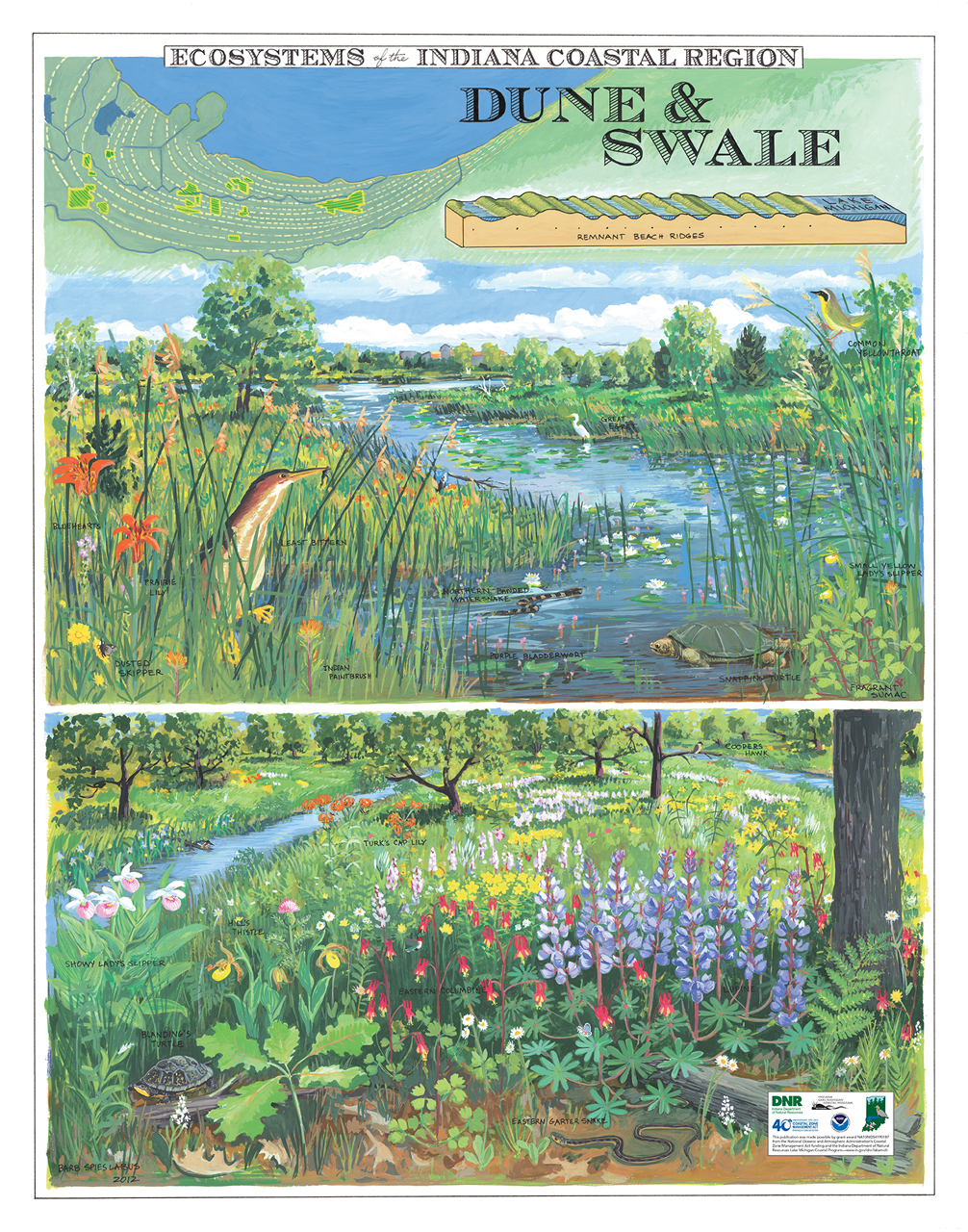 Image of two panels shows colorful wildflowers, grasses, waterways, and wildlife creatures, plus the words “Dune & Swale” and “Ecosystems of the Indiana Coastal Region.”